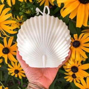 Palmier Chamaerops