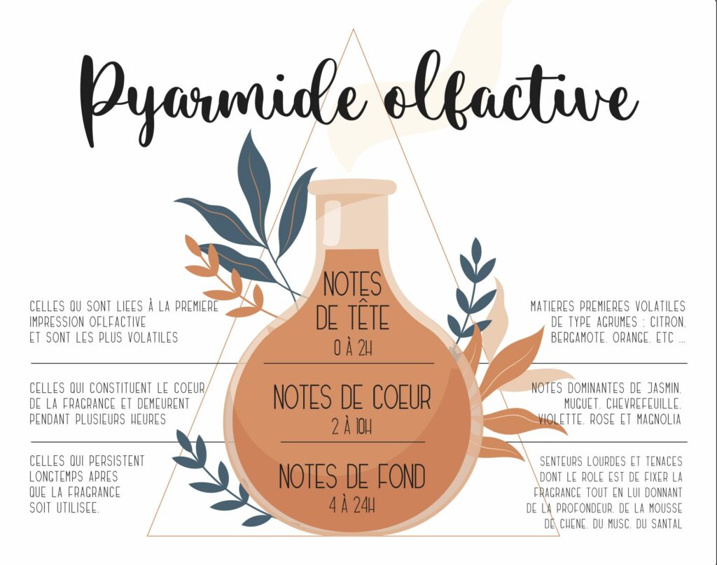 pyramide olfactive