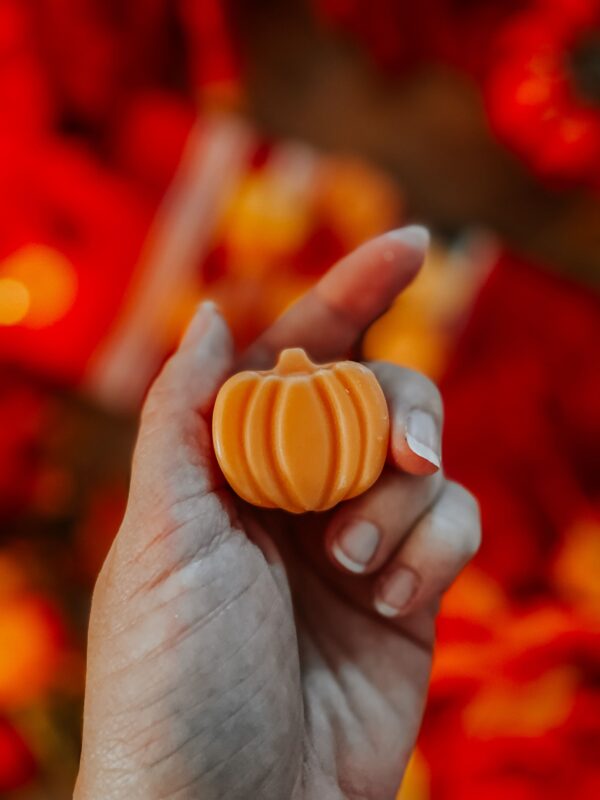 fondants Francisco citrouilles