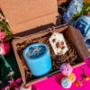 Box-Juana HomeSkullCandle
