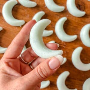 Fondant-TheNoirVanille