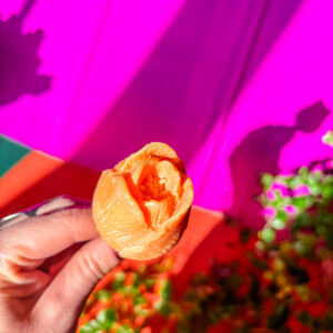 Fleurs-en-cire-La-Tulipe-orange
