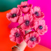 Fleur-Fondant-Coquelicot-5
