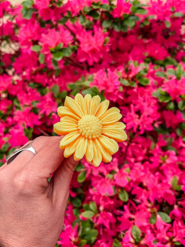 Fleur-fondant-La-Gerbera-chevrefeuille