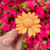 Fleur-fondant-La-Gerbera-orange