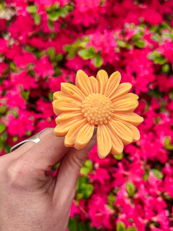 Fleur-fondant-La-Gerbera-orange