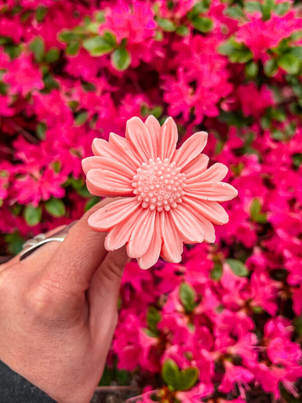 Fleur-fondant-La-Gerbera-fleur-damandier