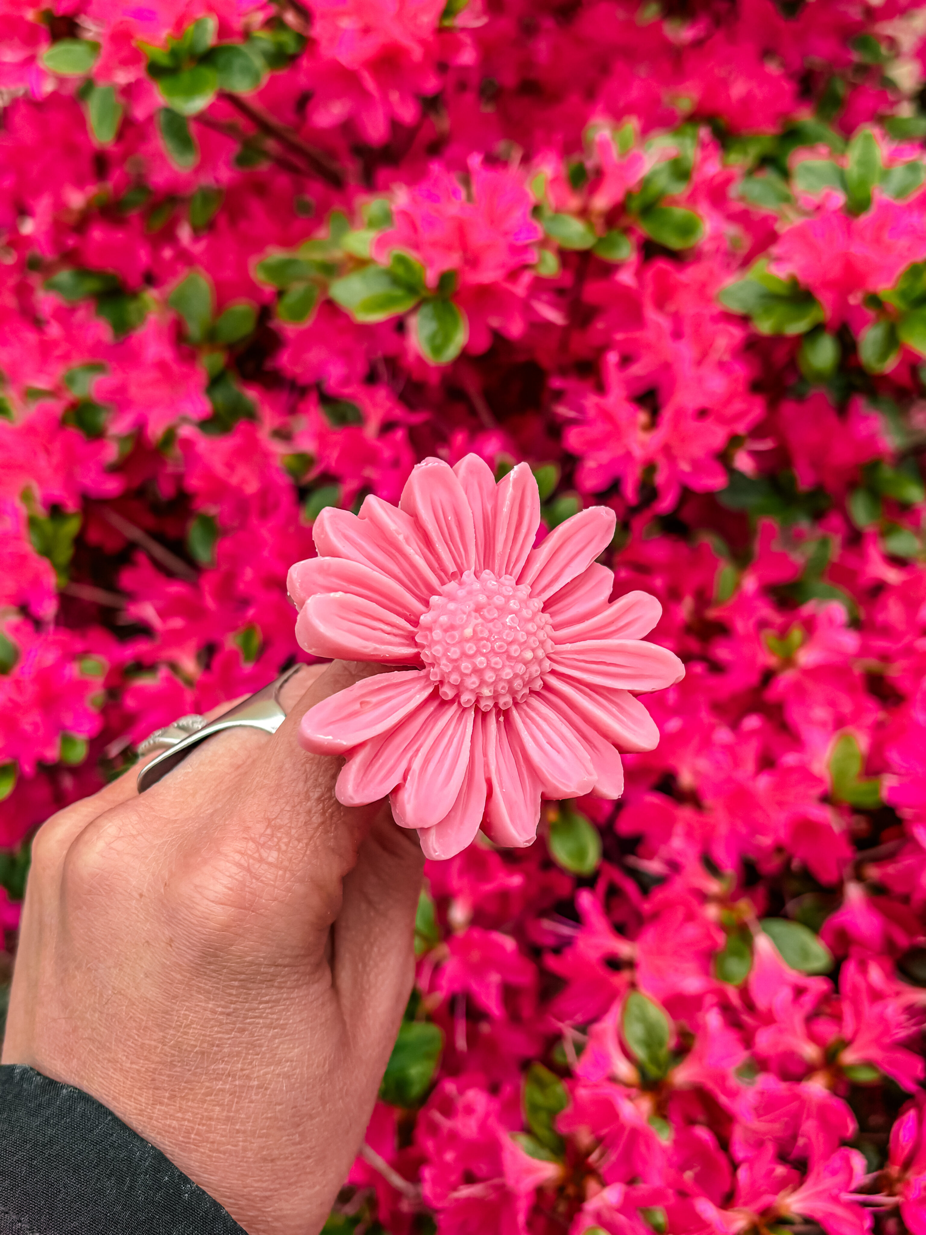 Fleur-fondant-La-Gerbera-Lilas
