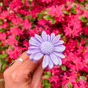 Fleur-fondant-La-Gerbera-violette
