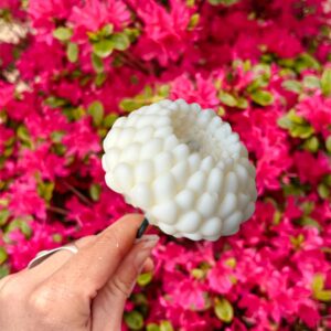 Fleur-fondant-Le-Dahlia-Poudre-de-riz