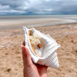bougie Coquillage Clara Monoi