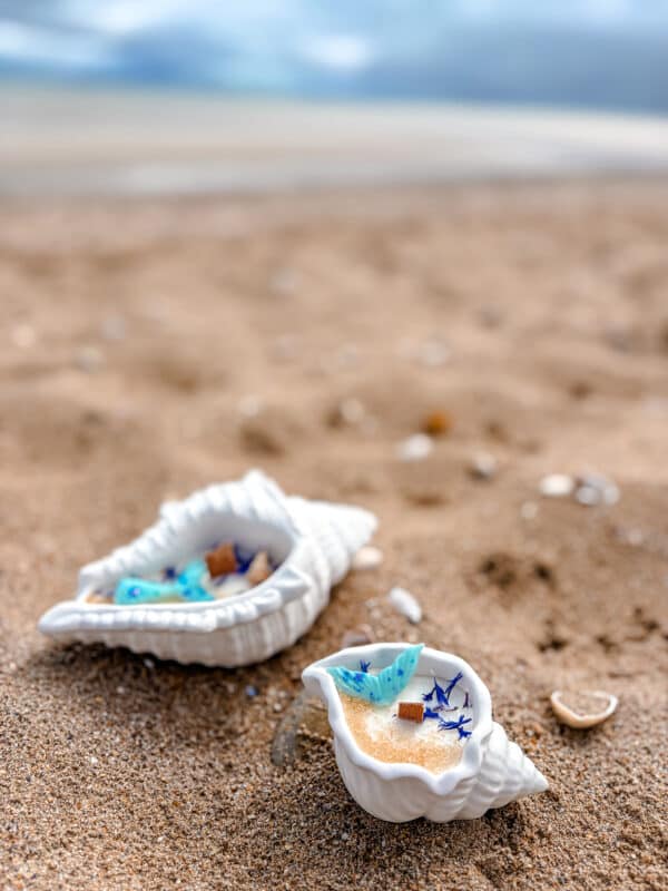 bougie Coquillage Clara Bois flotté