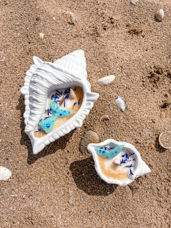 bougie Coquillage Clara Bois flotté