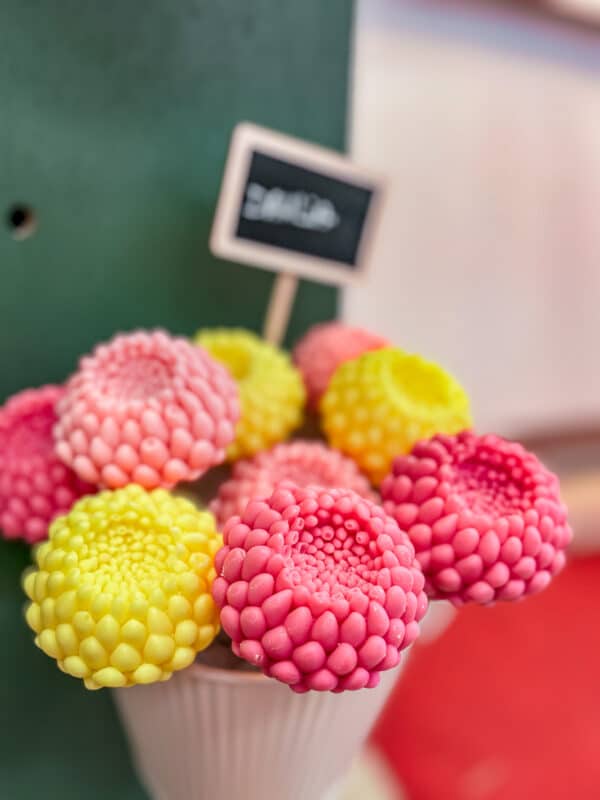 Fleur en cire Dahlia