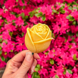 Fleurs-en-fondant-La-Rose-jaune