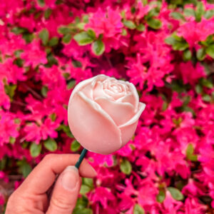 Fleurs-en-fondant-La-Rose-rose-corail