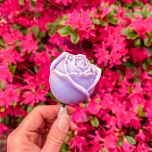 Fleurs-en-fondant-La-Rose-violette