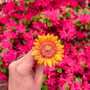 fleur-fondant-le-tournesol