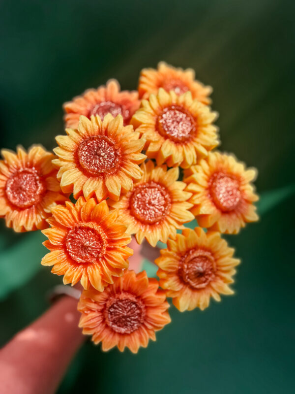 fleur-fondant-le-tournesol-xs