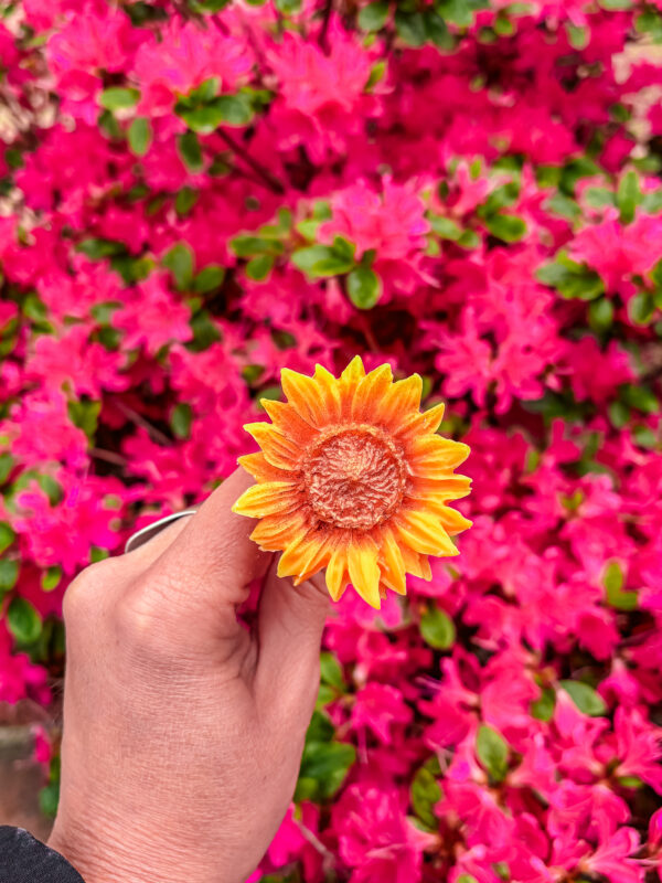 fleur-fondant-le-tournesol