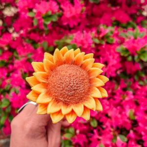 Fleur Fondant Tournesol xl