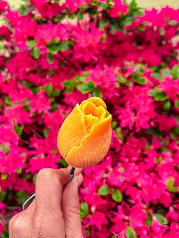 Fleur-Fondant-La-Tulipe-orange