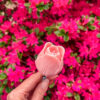 Fleur-Fondant-La-Tulipe-rose-corail