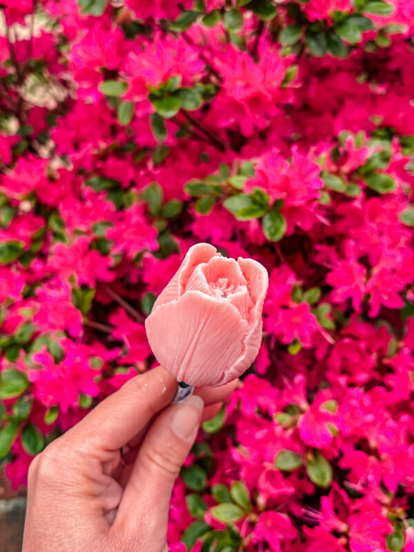 Fleur-Fondant-La-Tulipe-rose-corail