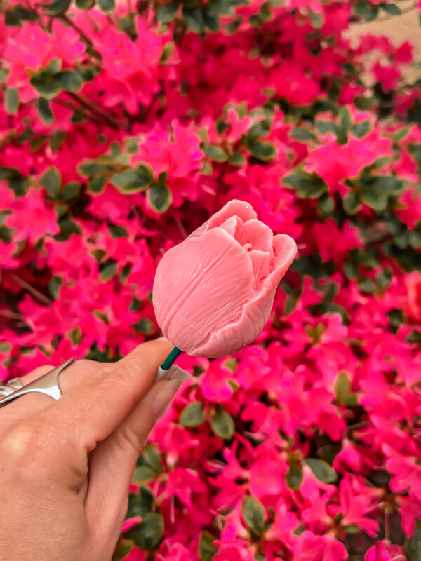 Fleur-Fondant-La-Tulipe-rose-fonce
