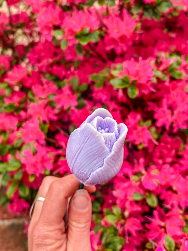 Fleur-Fondant-La-Tulipe-violette