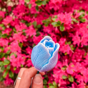 Fleurs-en-cire-La-Tulipe-bleue