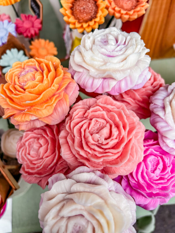 Fleur-francesca-Pivoine-bicolore
