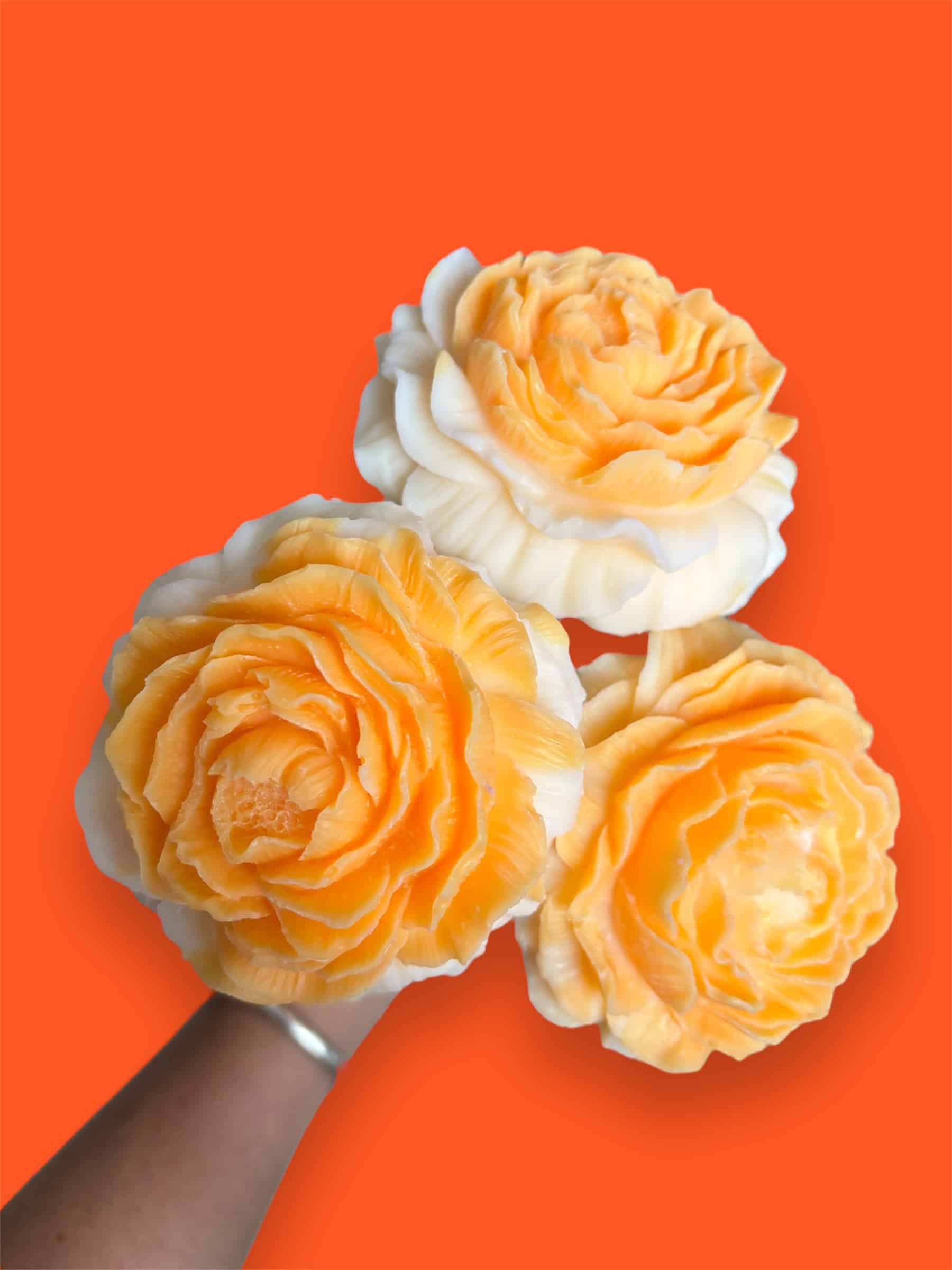 Fleur en cire pivoine bicolore orange et blanc