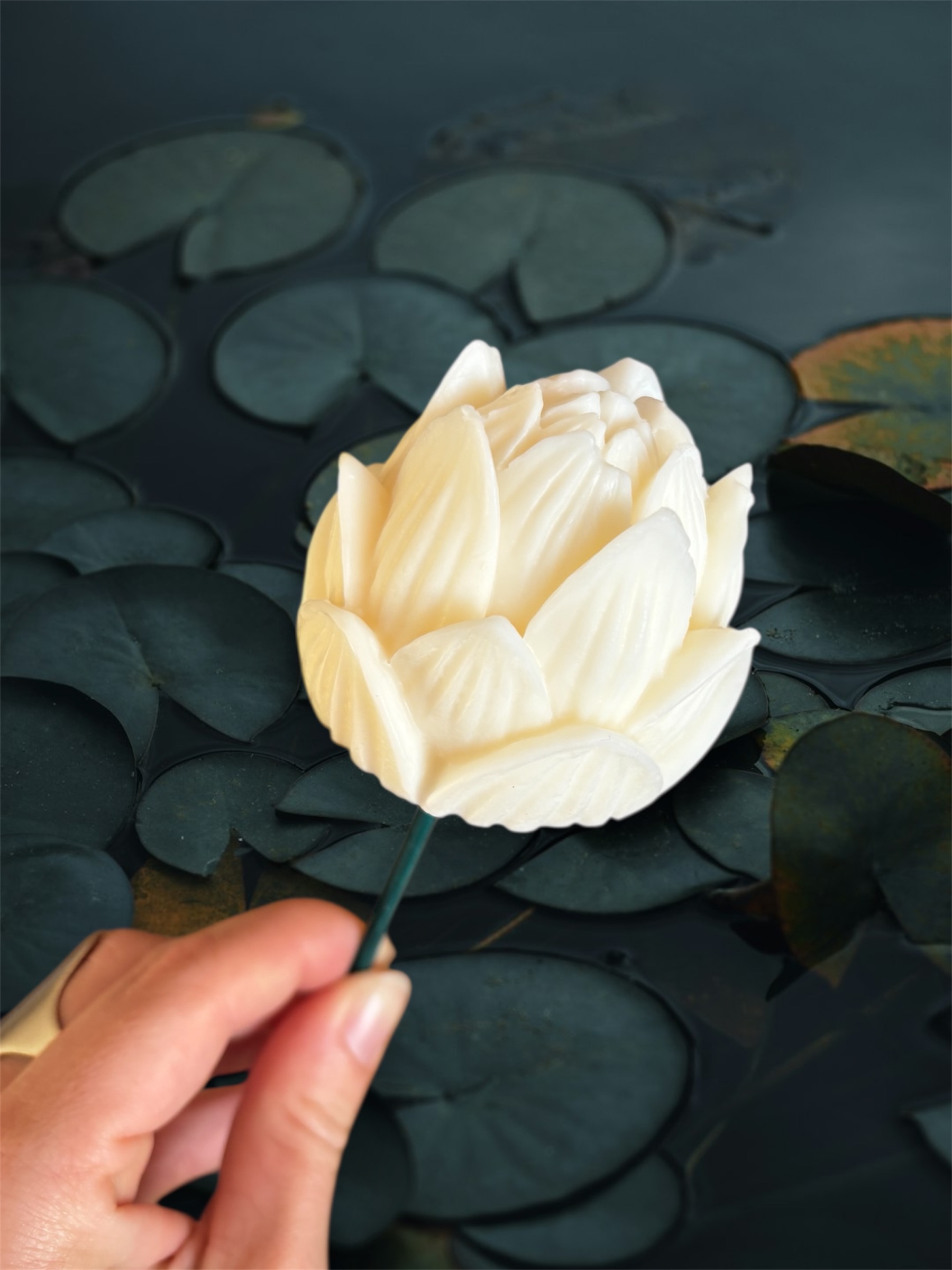 Fleur Francesca Nenuphar blanc