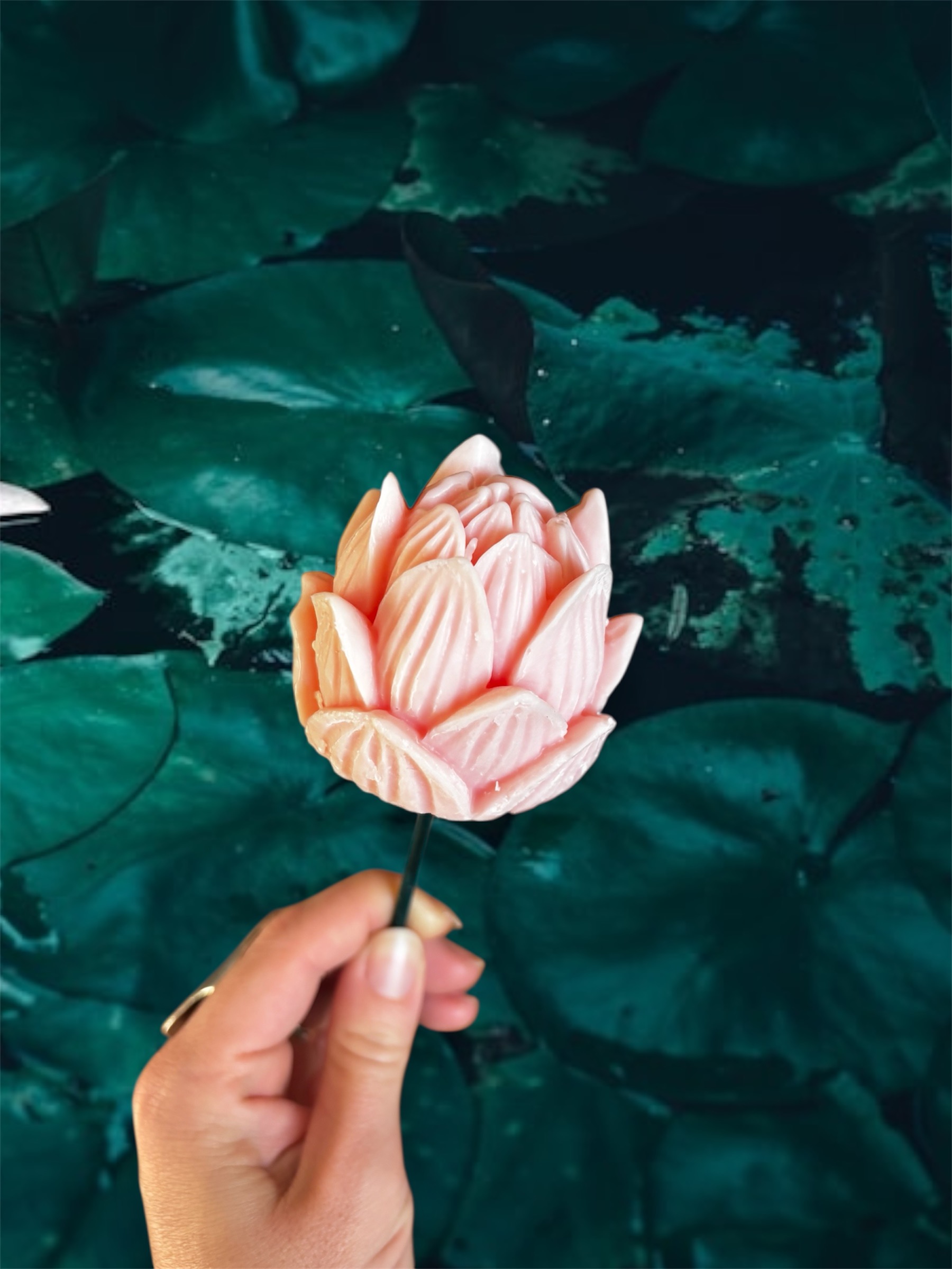 Fleur Francesca Nenuphar corail