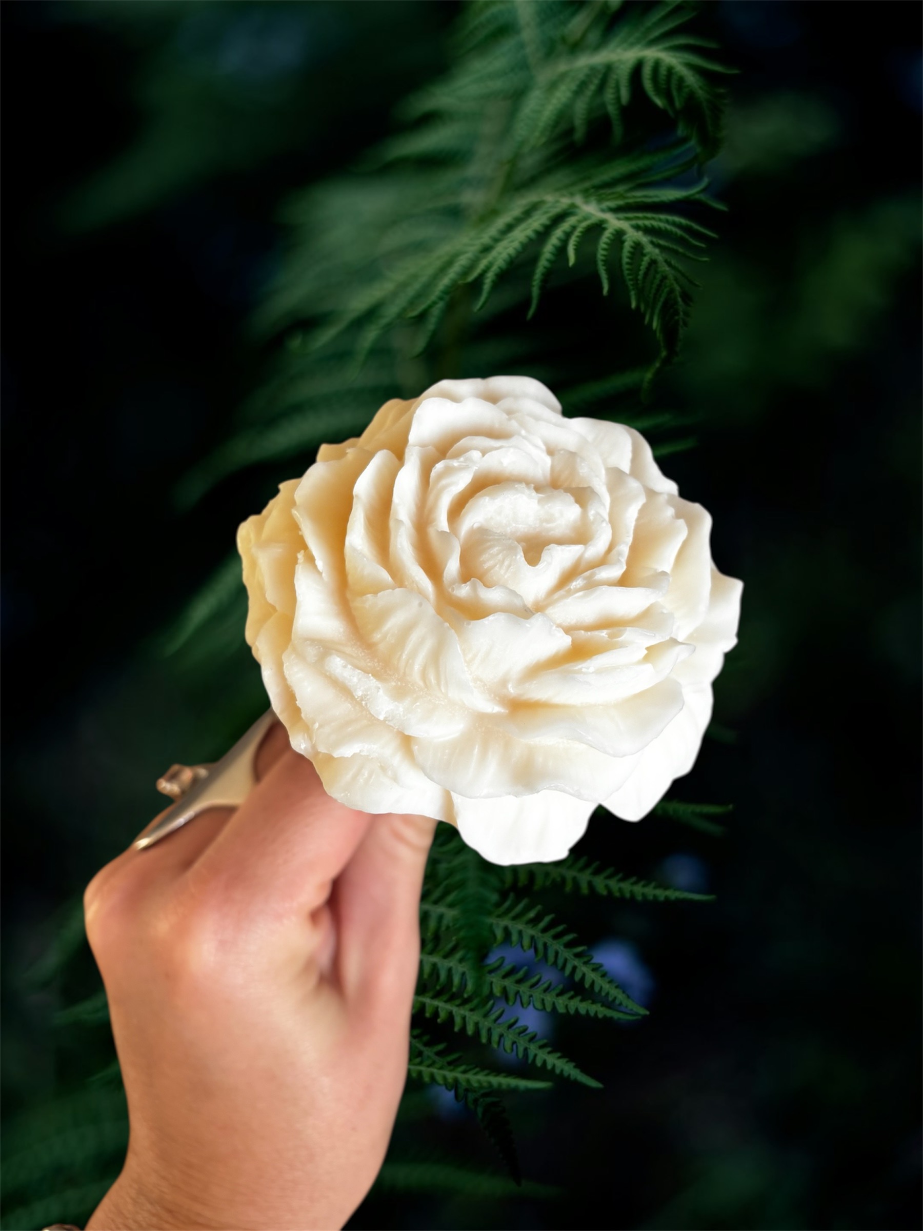 Fleur Francesca Pivoine blanche