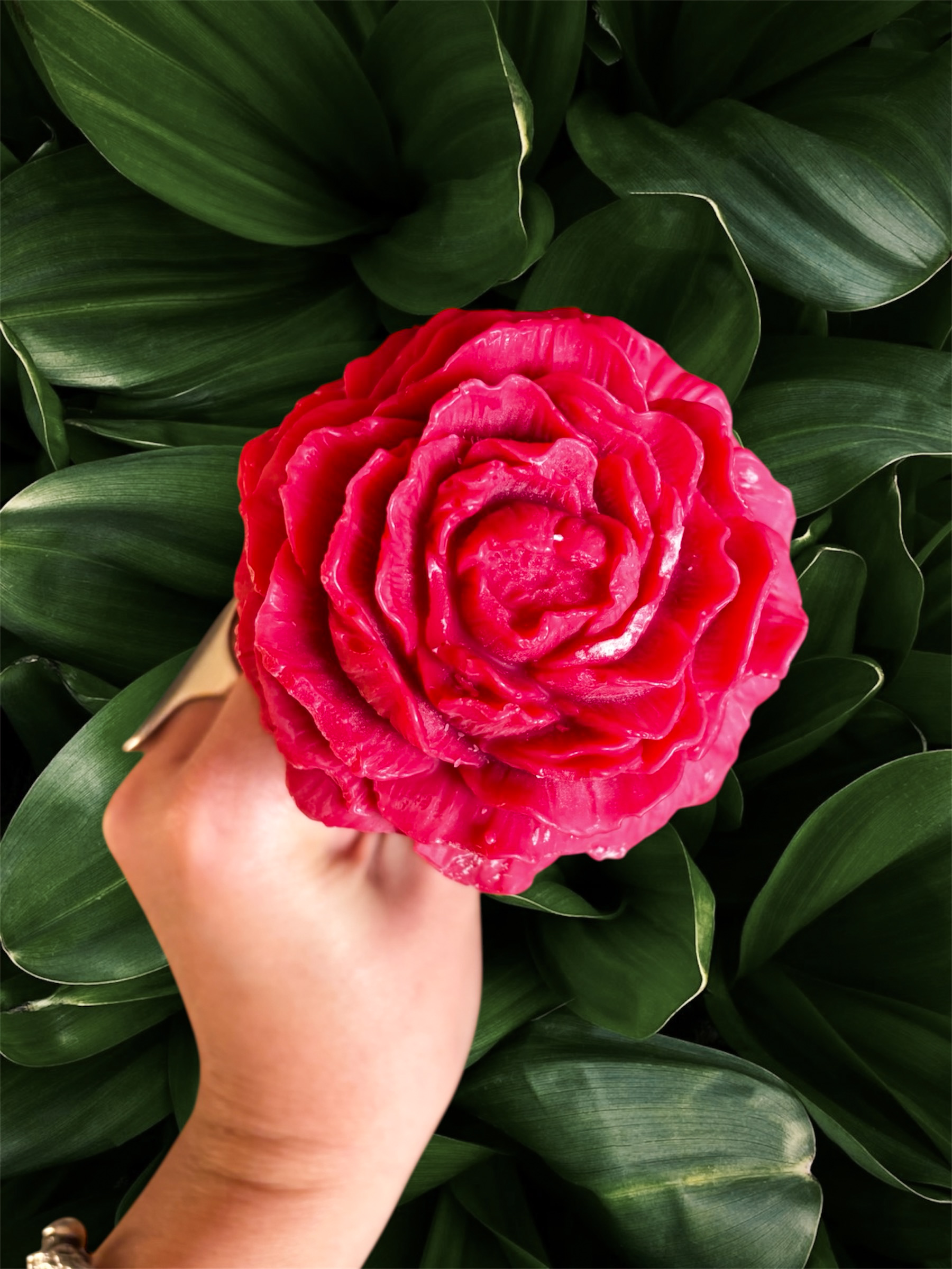 Fleur Francesca Pivoine rouge