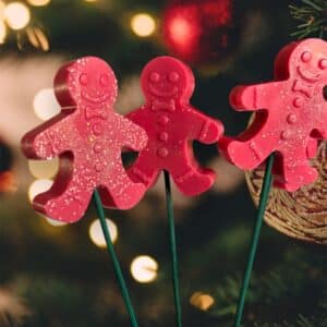 Fleur-Fondant-Noel-Bonhomme