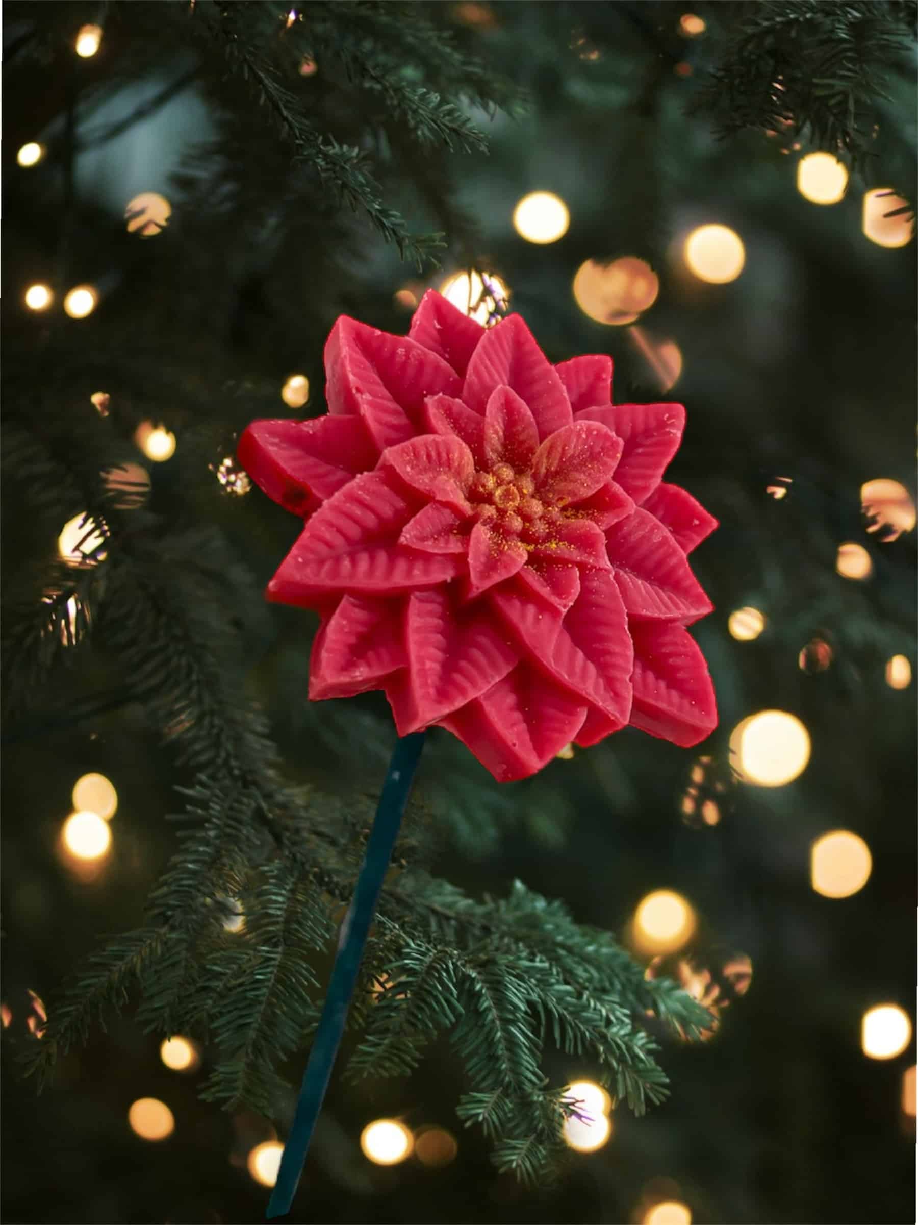 Fleur Noel Etoile De Noel