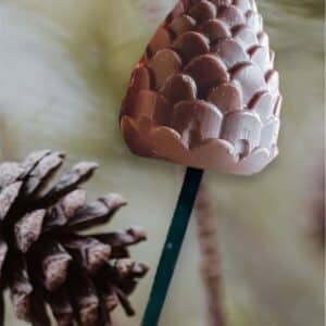 Fleur-Noel-Pomme-De-Pin