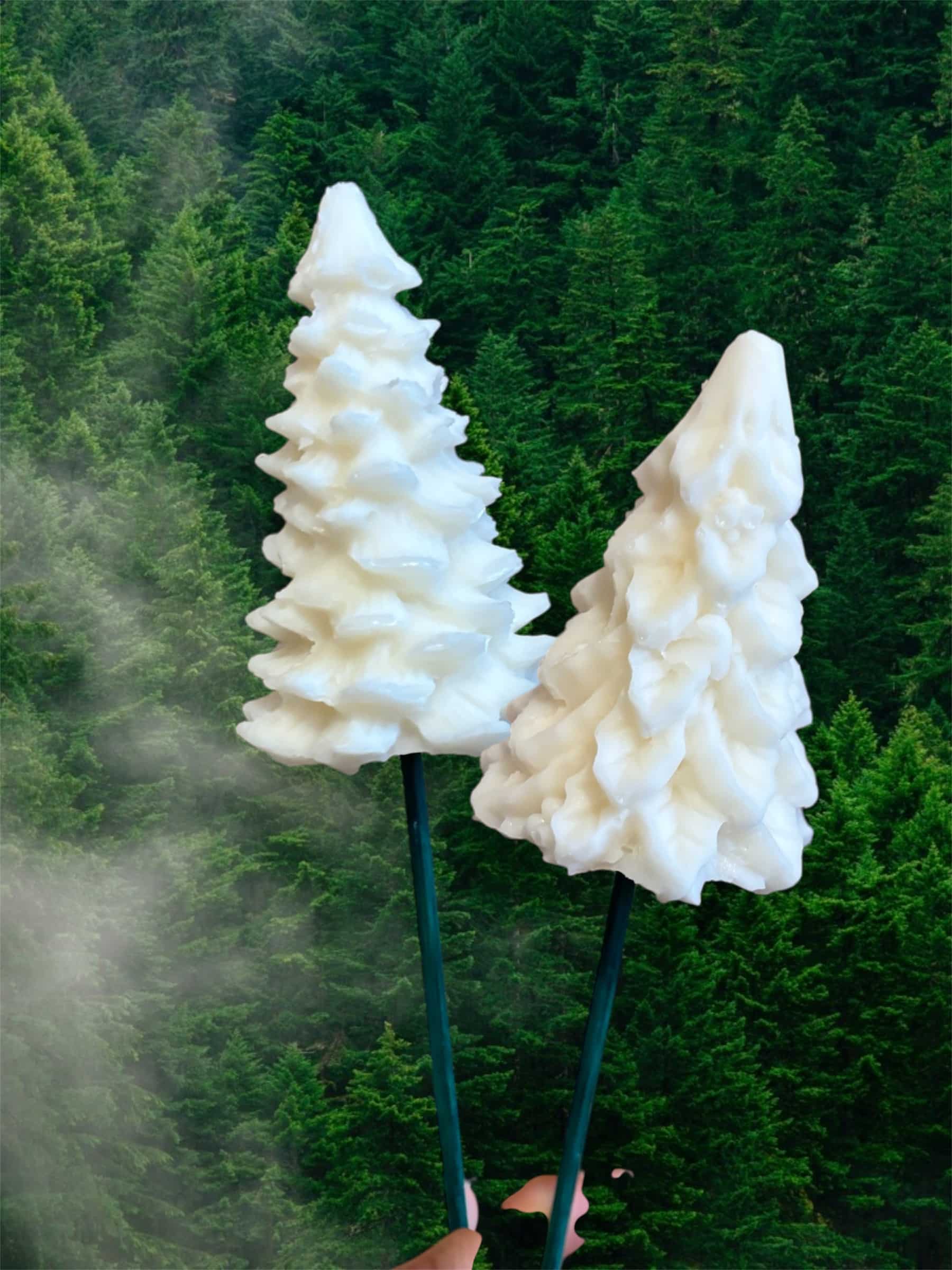 Fleur Noel Sapin Blanc