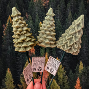 Fleur Noel Sapin vert