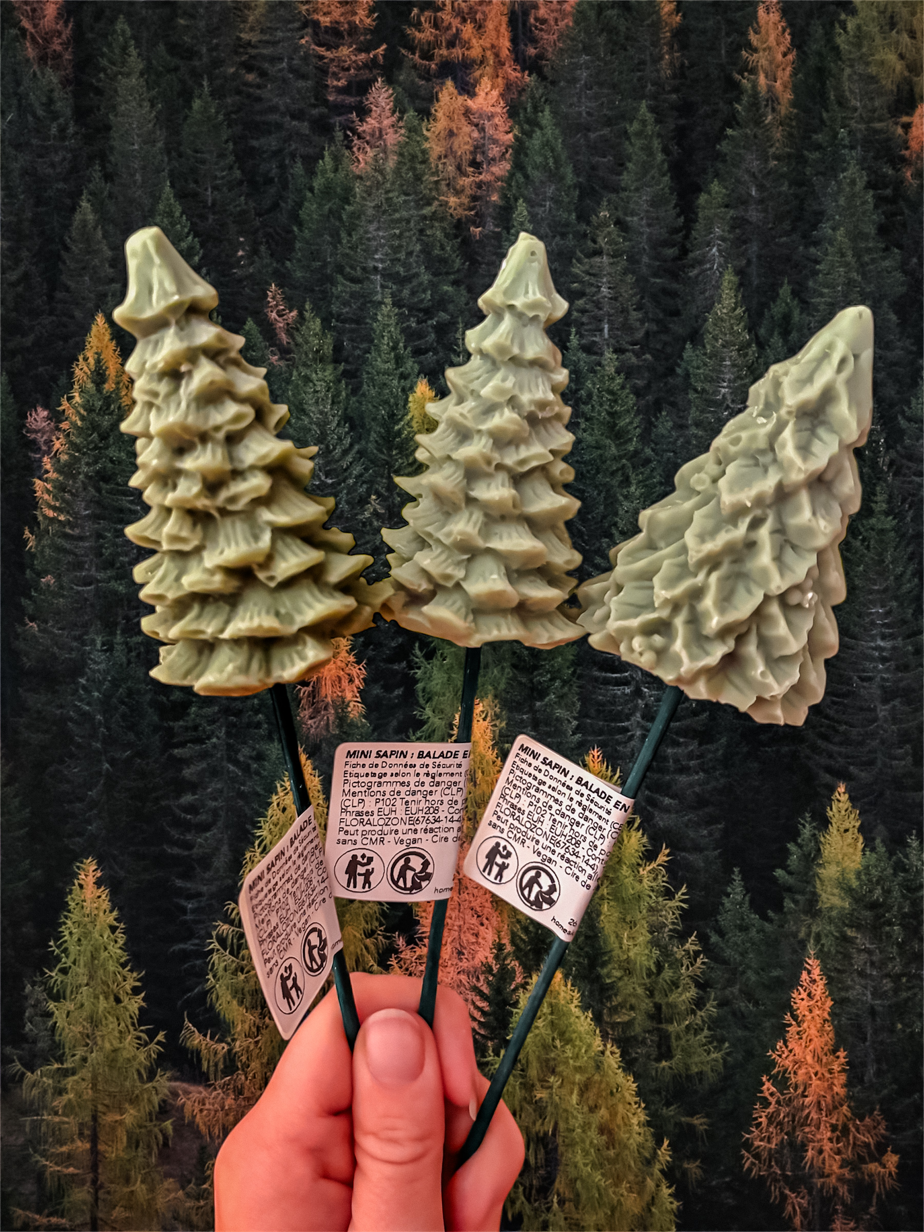 Fleur Noel Sapin vert